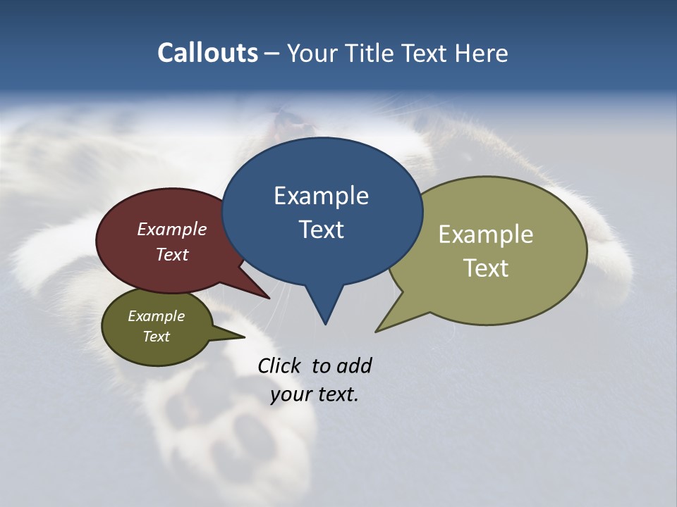 Little Cat PowerPoint Template