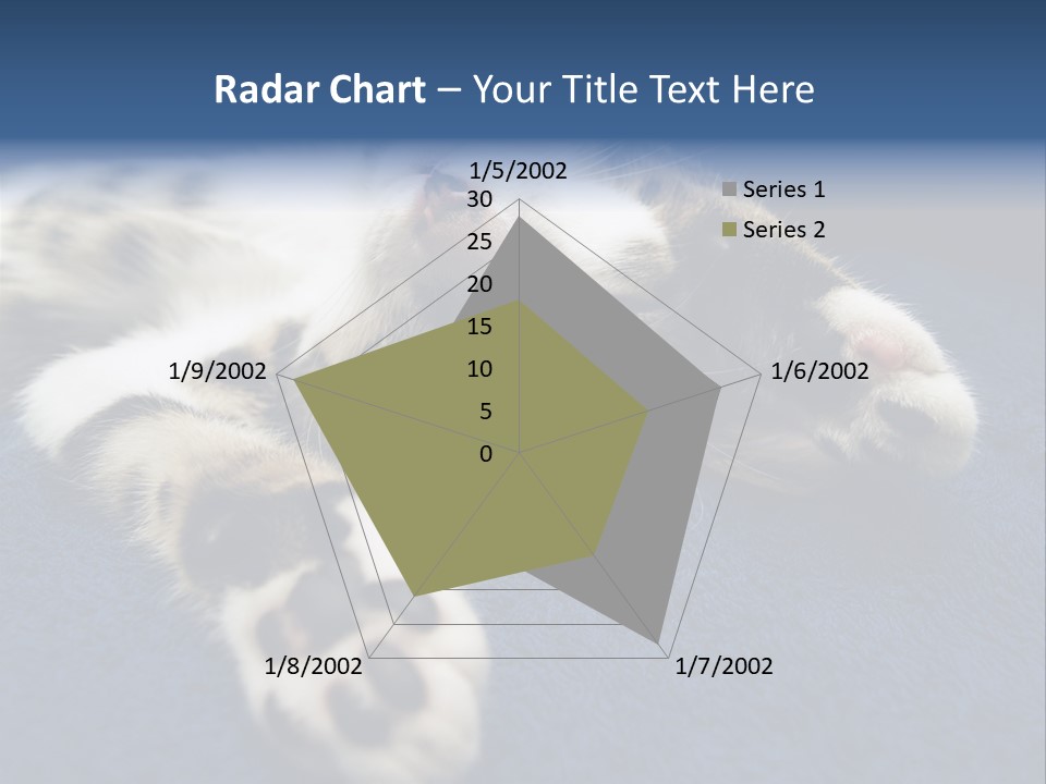Little Cat PowerPoint Template