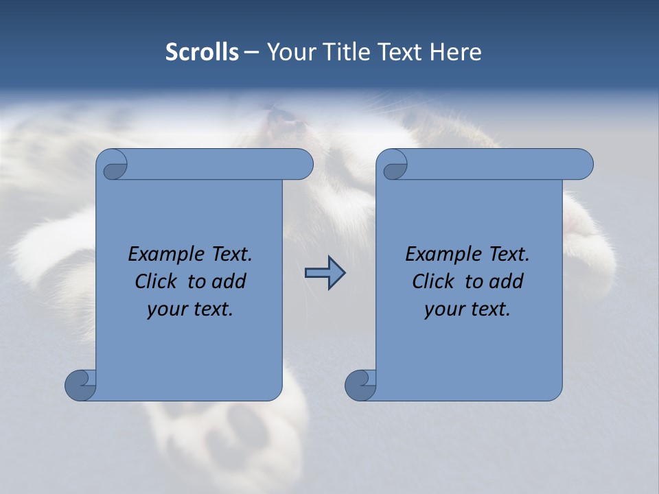 Little Cat PowerPoint Template