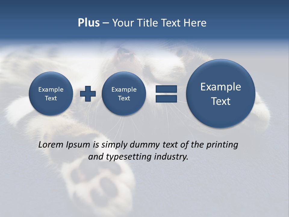 Little Cat PowerPoint Template