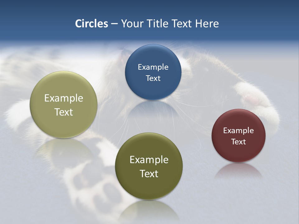 Little Cat PowerPoint Template