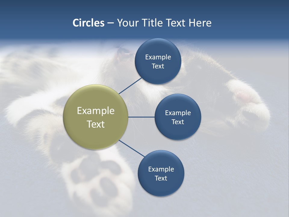 Little Cat PowerPoint Template