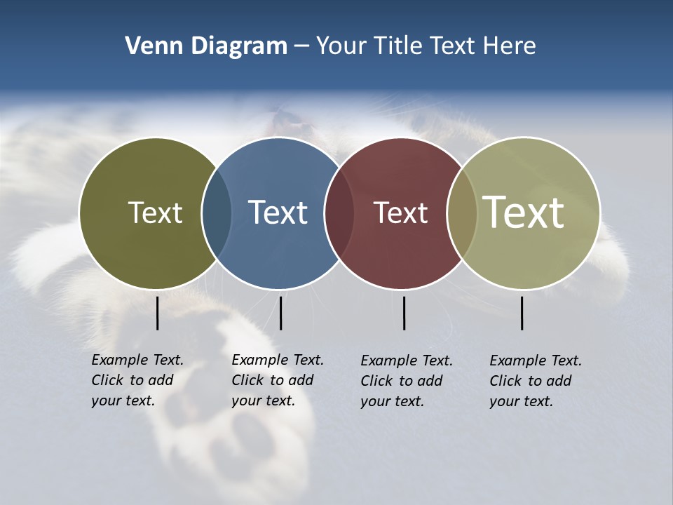 Little Cat PowerPoint Template