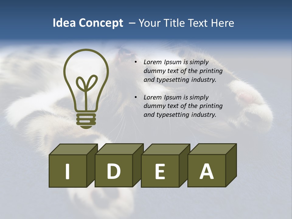 Little Cat PowerPoint Template