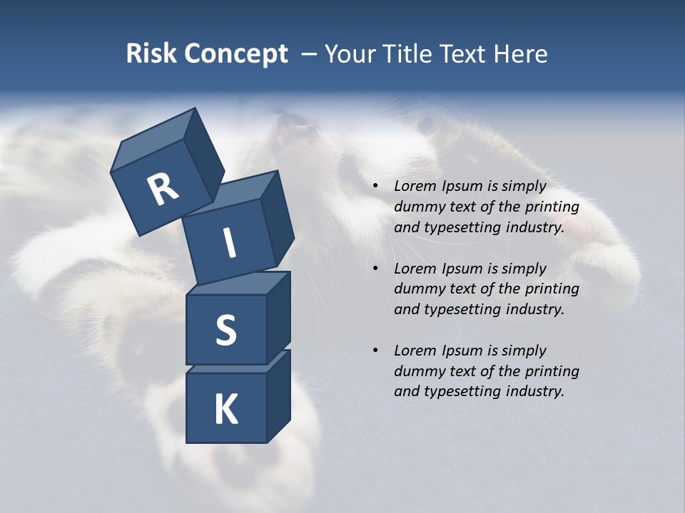 Little Cat PowerPoint Template