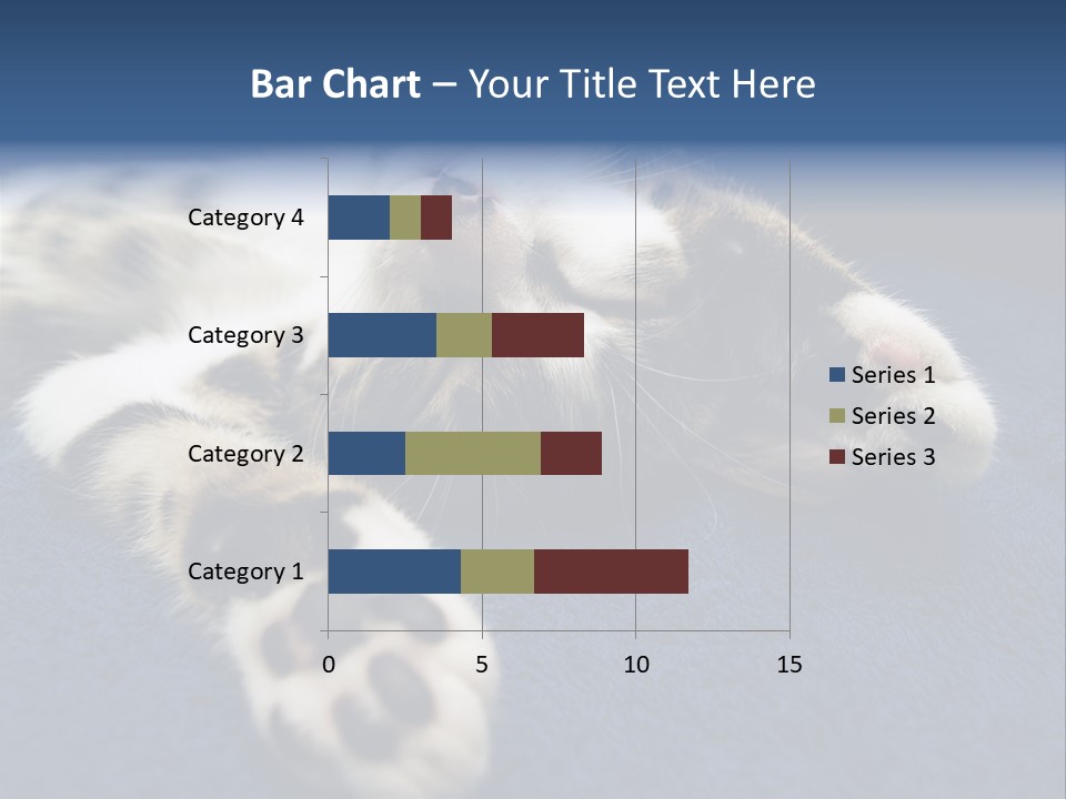 Little Cat PowerPoint Template