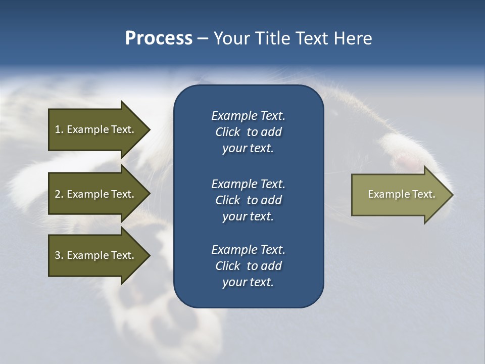 Little Cat PowerPoint Template