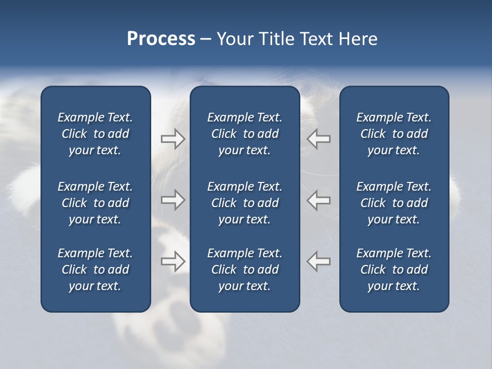 Little Cat PowerPoint Template