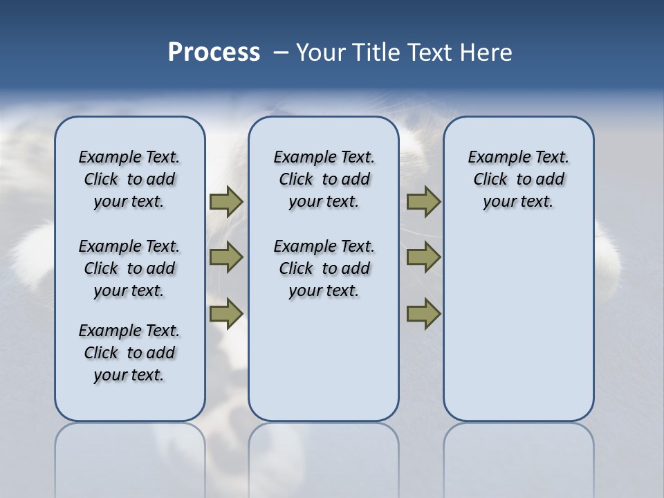 Little Cat PowerPoint Template