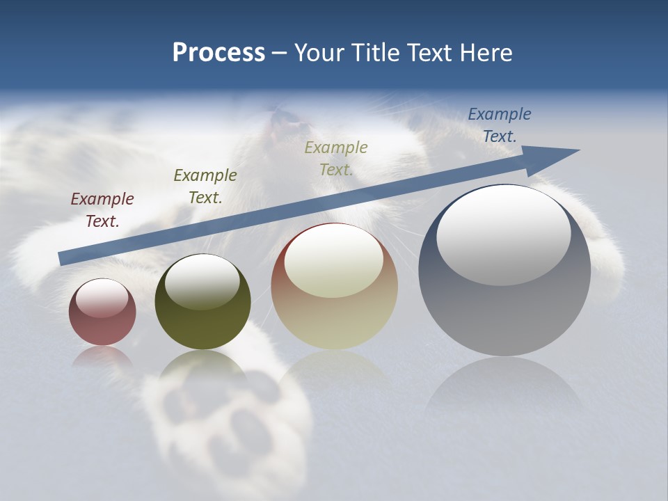 Little Cat PowerPoint Template