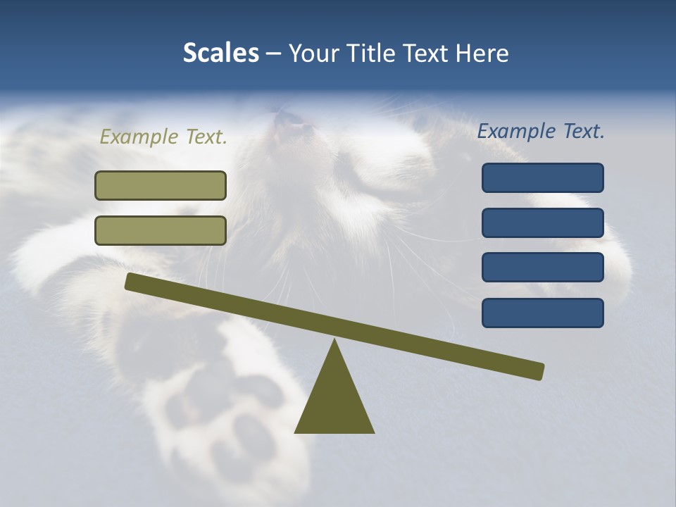 Little Cat PowerPoint Template