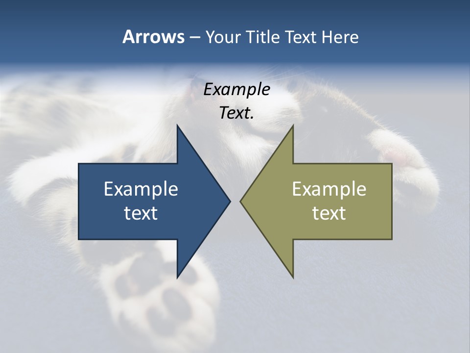 Little Cat PowerPoint Template