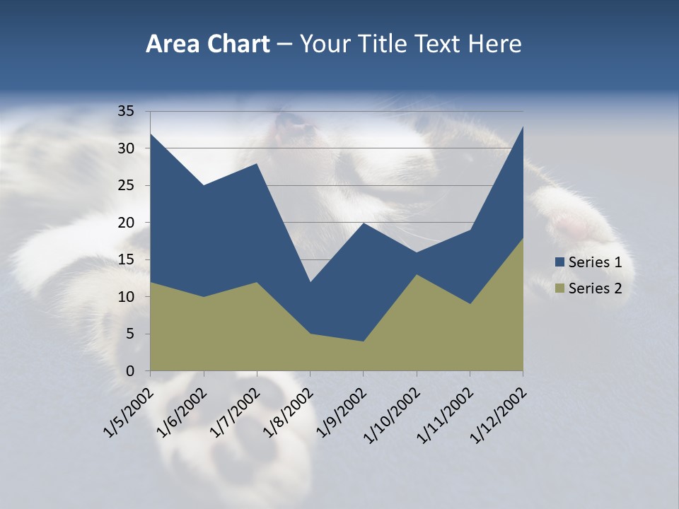 Little Cat PowerPoint Template