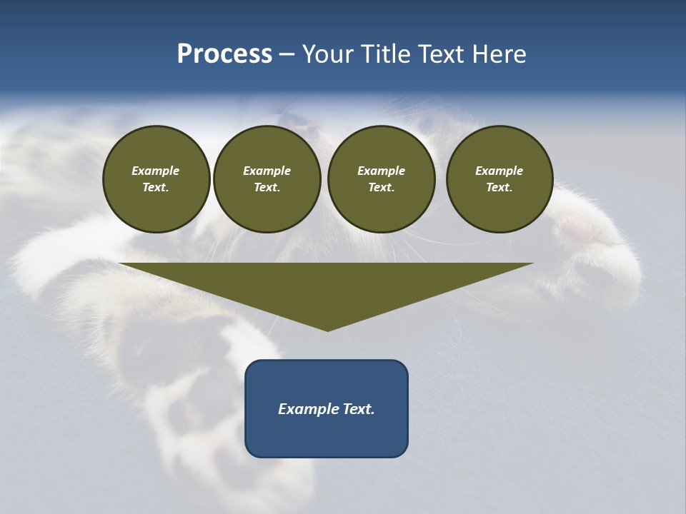 Little Cat PowerPoint Template