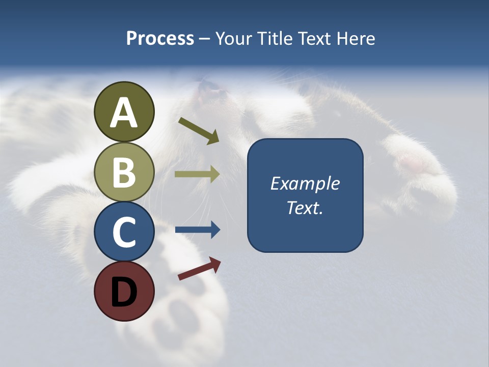 Little Cat PowerPoint Template