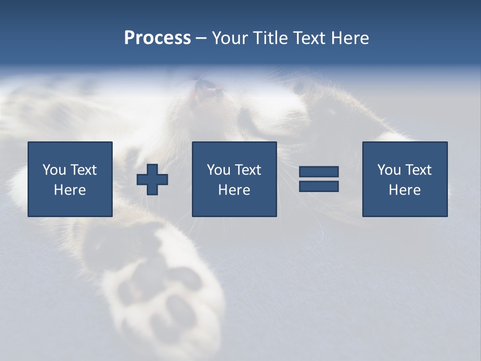 Little Cat PowerPoint Template