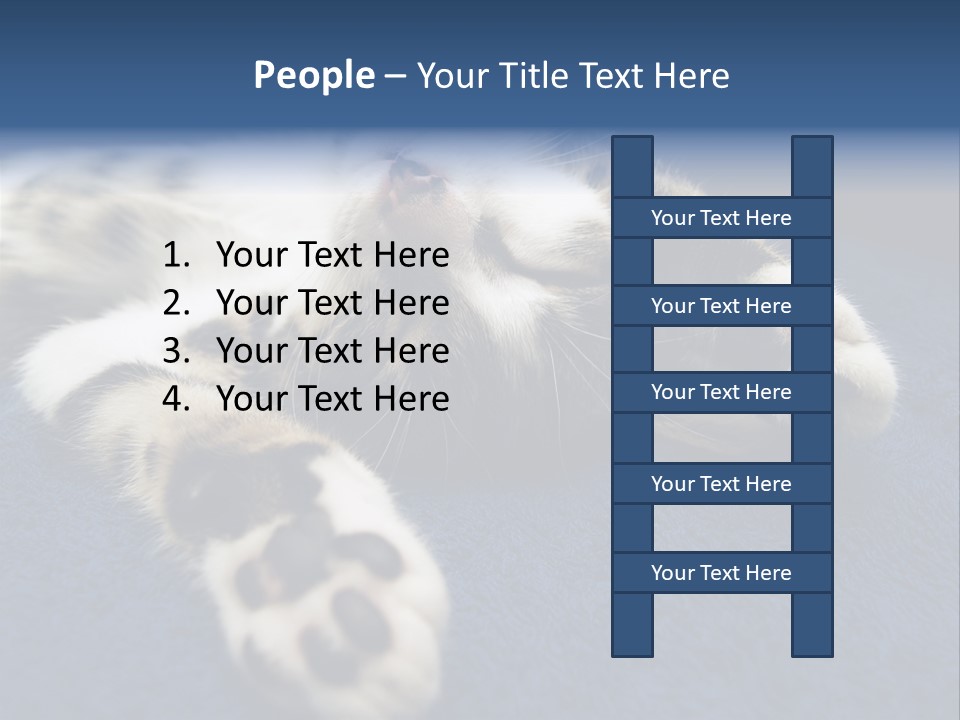 Little Cat PowerPoint Template