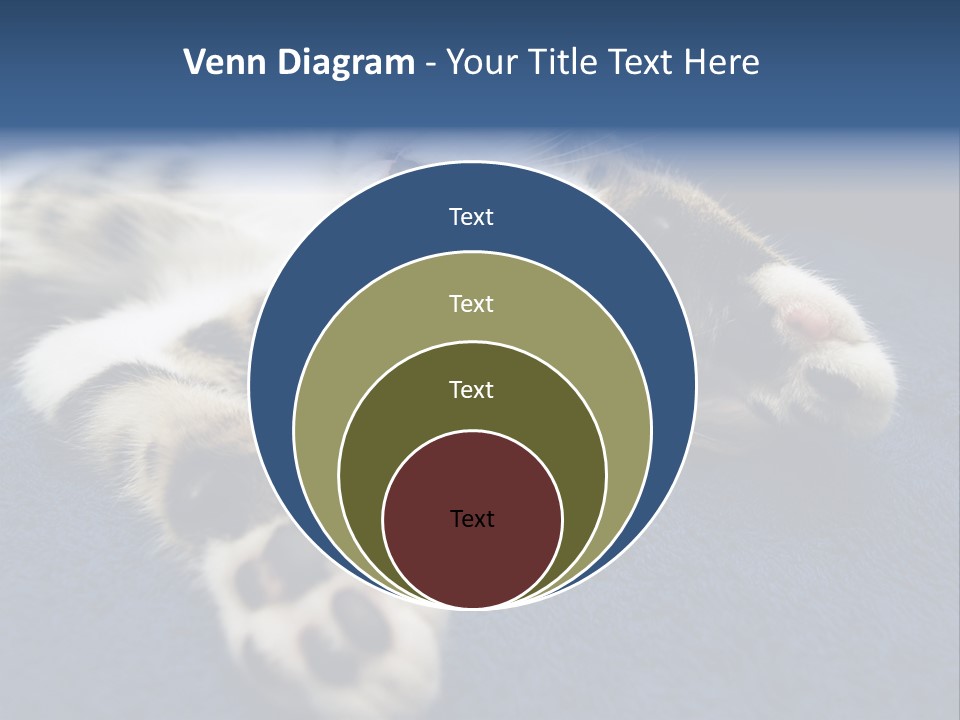 Little Cat PowerPoint Template