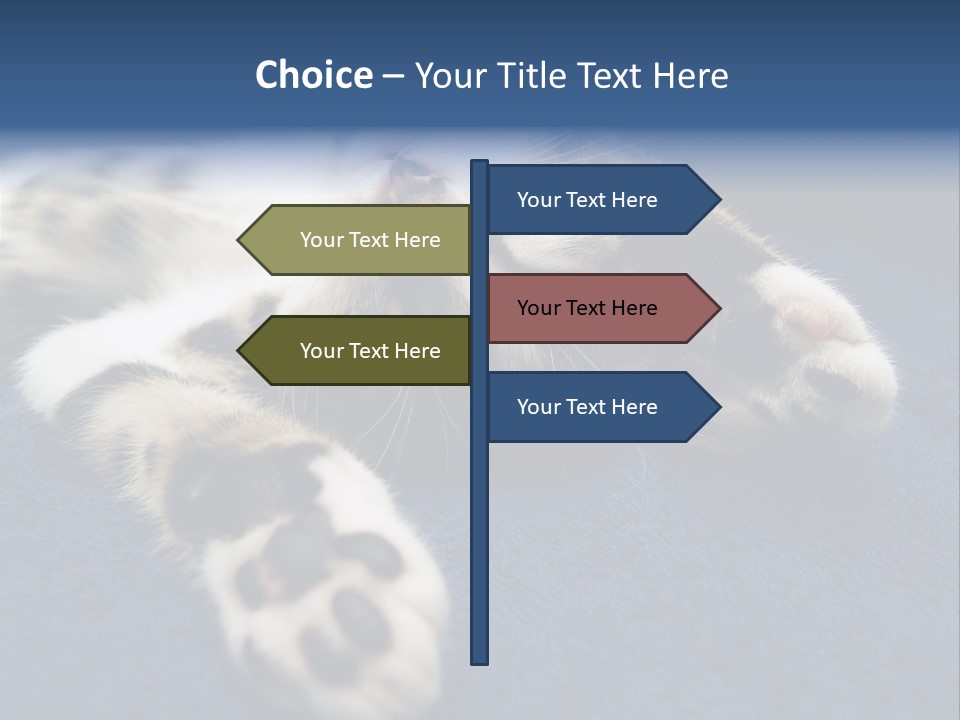 Little Cat PowerPoint Template