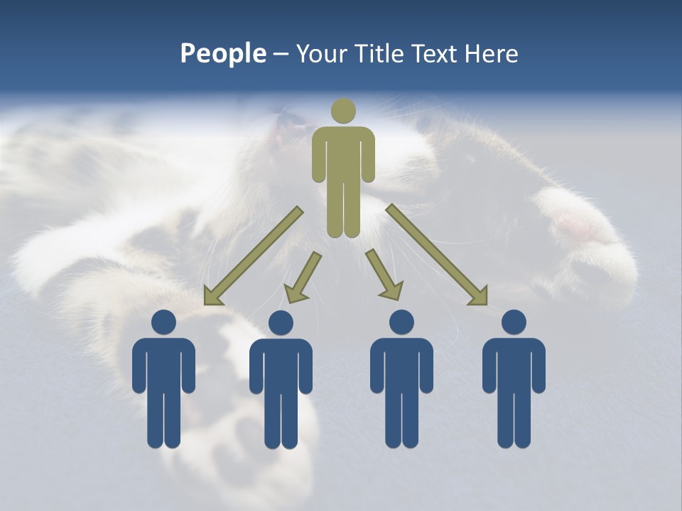 Little Cat PowerPoint Template