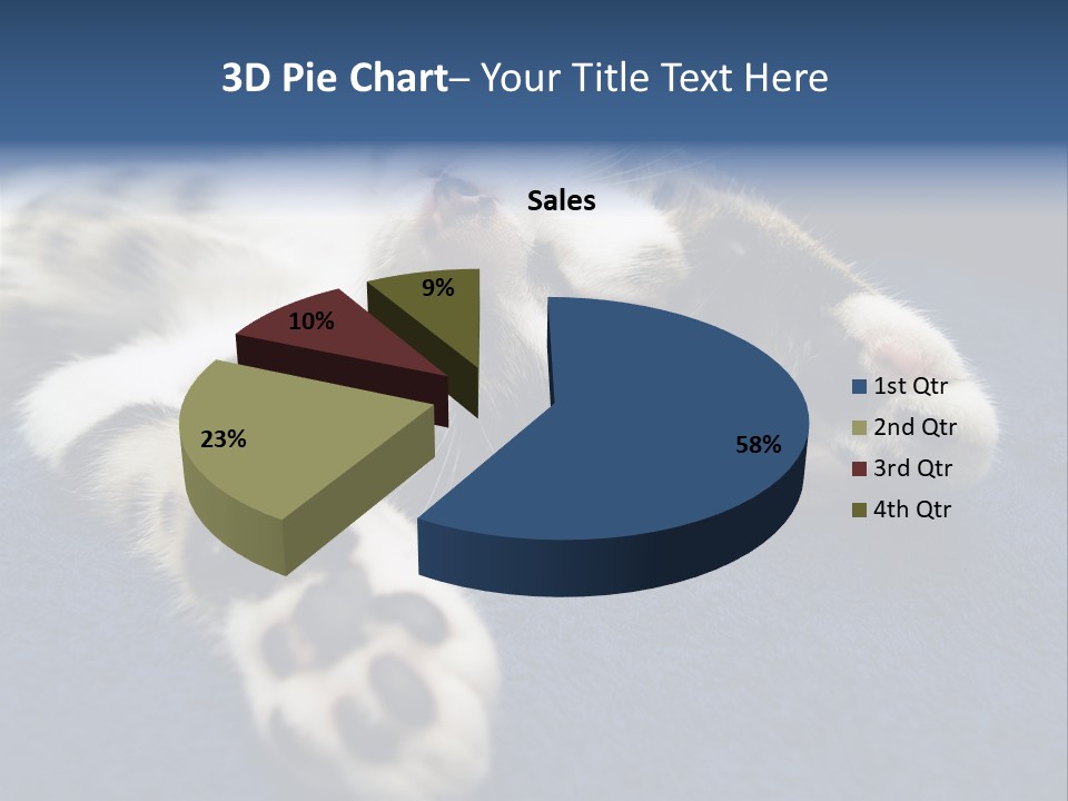 Little Cat PowerPoint Template