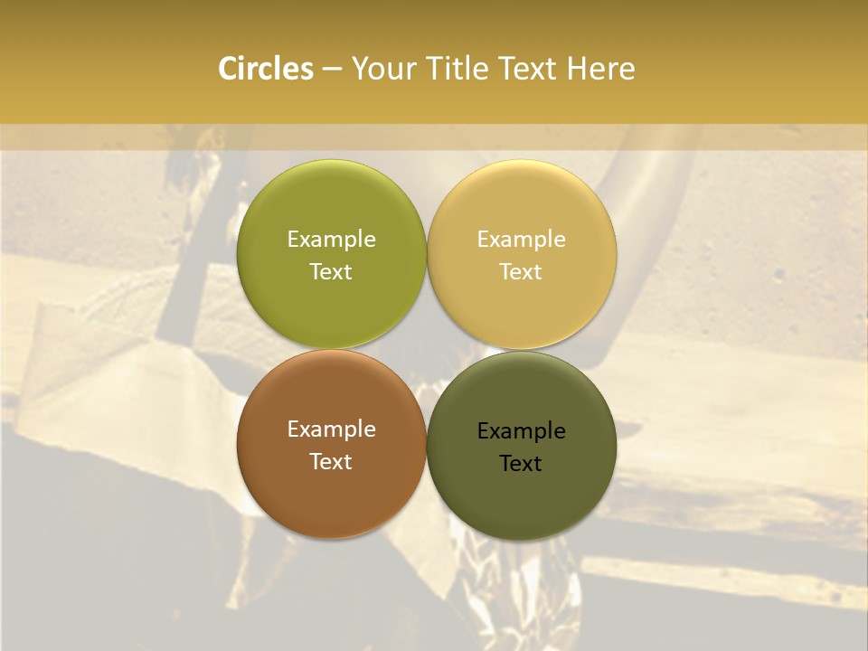 Beautiful Brunette Capturing The Scene On Her Camera... PowerPoint Template