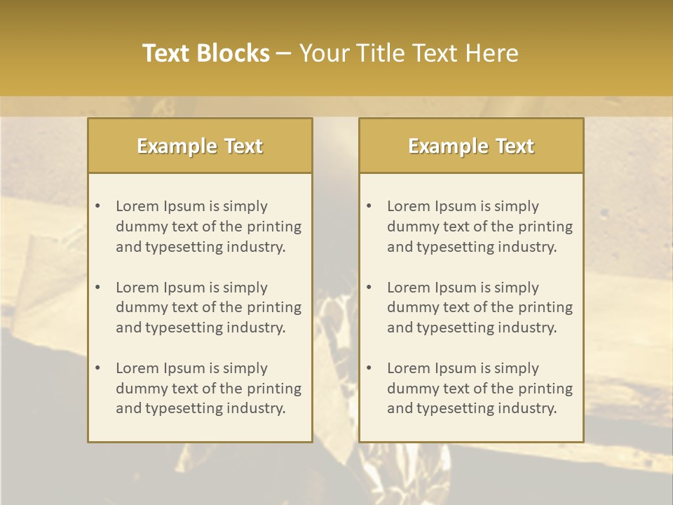 Beautiful Brunette Capturing The Scene On Her Camera... PowerPoint Template