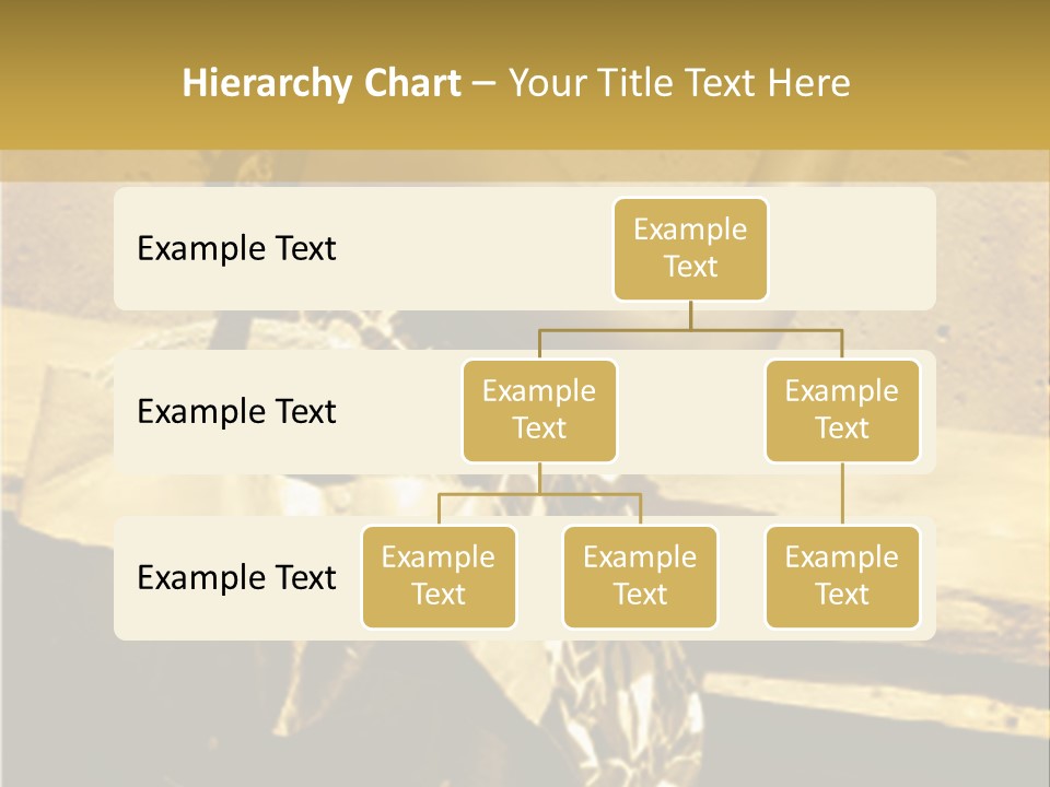 Beautiful Brunette Capturing The Scene On Her Camera... PowerPoint Template