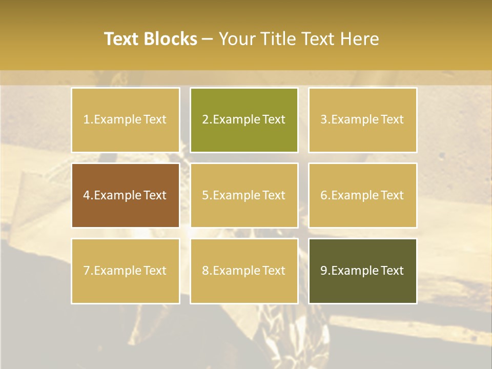 Beautiful Brunette Capturing The Scene On Her Camera... PowerPoint Template