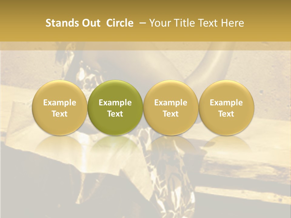 Beautiful Brunette Capturing The Scene On Her Camera... PowerPoint Template