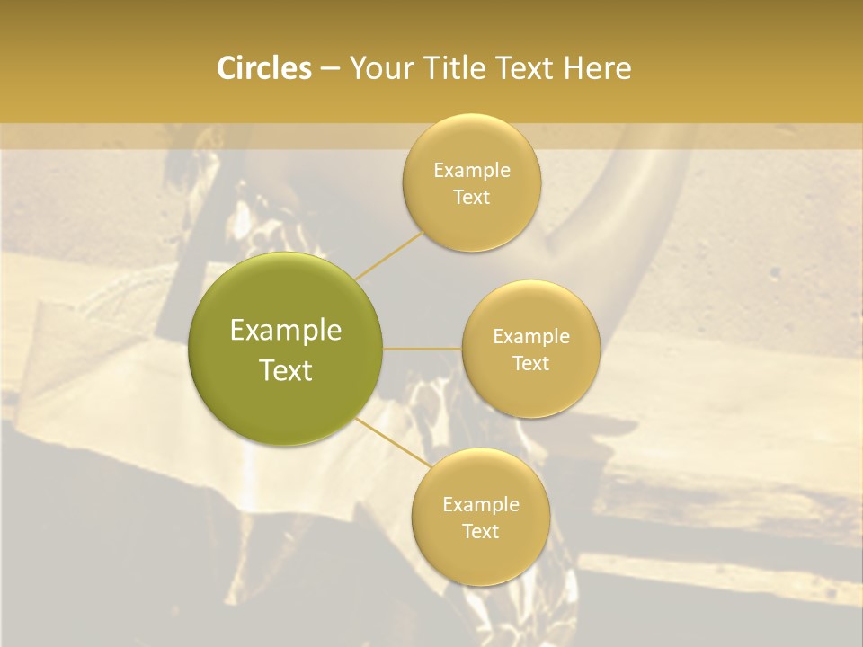 Beautiful Brunette Capturing The Scene On Her Camera... PowerPoint Template