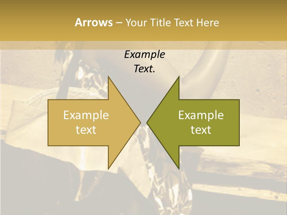 Beautiful Brunette Capturing The Scene On Her Camera... PowerPoint Template