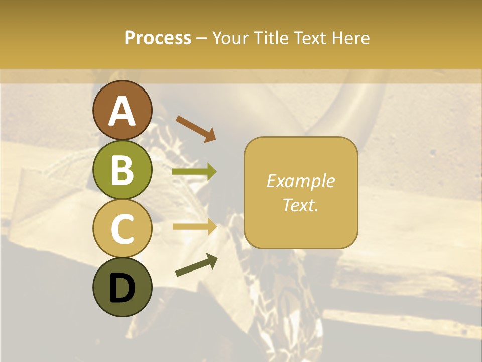 Beautiful Brunette Capturing The Scene On Her Camera... PowerPoint Template