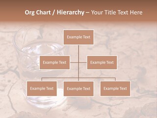 Shot Of A Blue Siamese Fighting Fish Under Water In Front Of A White Background PowerPoint Template