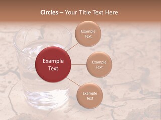 Shot Of A Blue Siamese Fighting Fish Under Water In Front Of A White Background PowerPoint Template