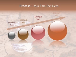 Shot Of A Blue Siamese Fighting Fish Under Water In Front Of A White Background PowerPoint Template