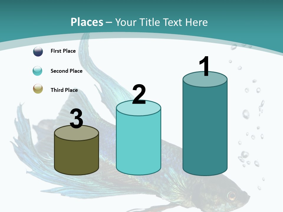 Shot Of A Blue Siamese Fighting Fish Under Water In Front Of A White Background PowerPoint Template