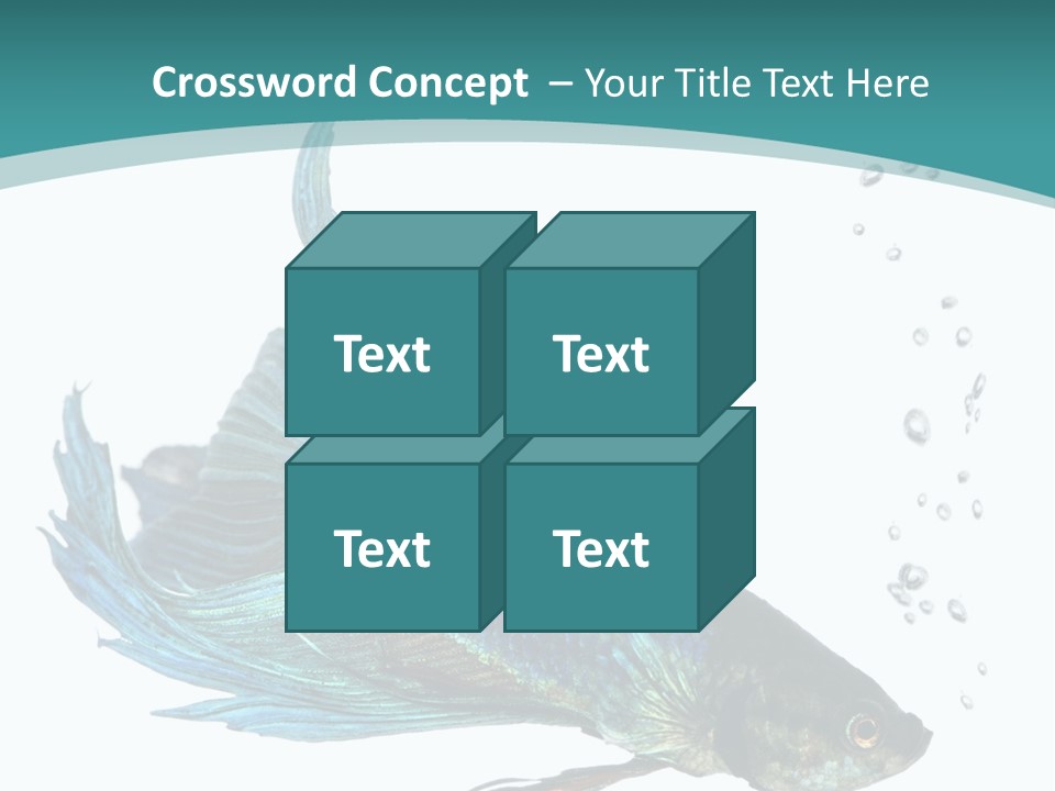 Shot Of A Blue Siamese Fighting Fish Under Water In Front Of A White Background PowerPoint Template