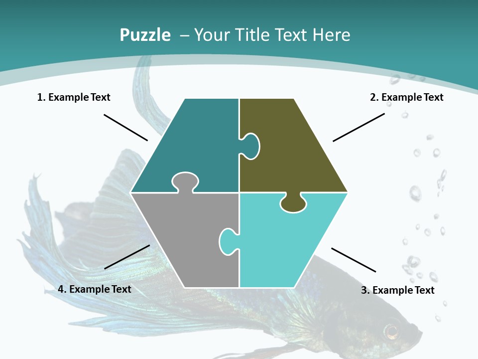 Shot Of A Blue Siamese Fighting Fish Under Water In Front Of A White Background PowerPoint Template