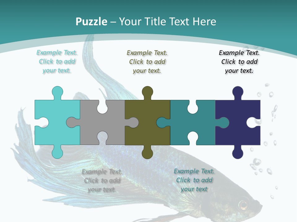 Shot Of A Blue Siamese Fighting Fish Under Water In Front Of A White Background PowerPoint Template