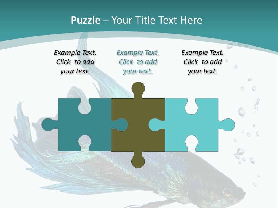 Shot Of A Blue Siamese Fighting Fish Under Water In Front Of A White Background PowerPoint Template