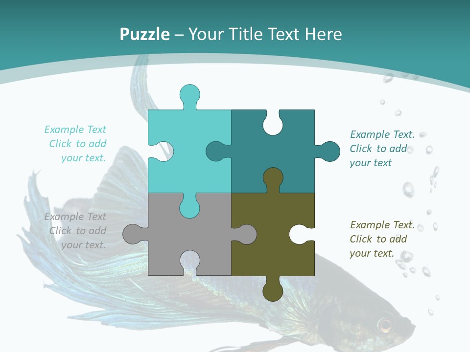 Shot Of A Blue Siamese Fighting Fish Under Water In Front Of A White Background PowerPoint Template