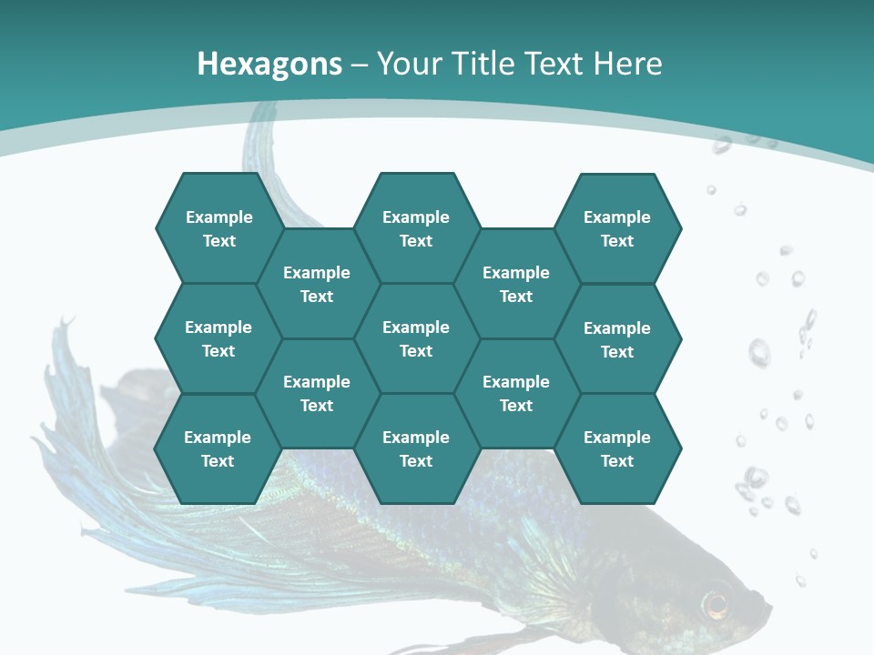 Shot Of A Blue Siamese Fighting Fish Under Water In Front Of A White Background PowerPoint Template