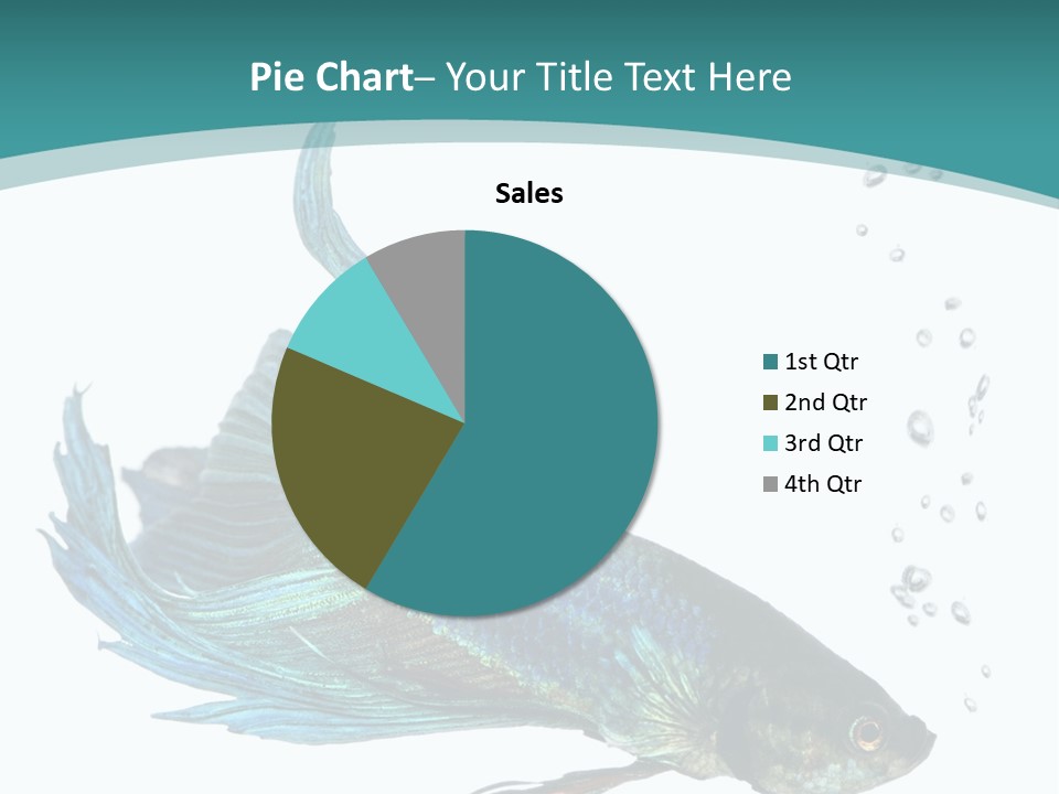 Shot Of A Blue Siamese Fighting Fish Under Water In Front Of A White Background PowerPoint Template