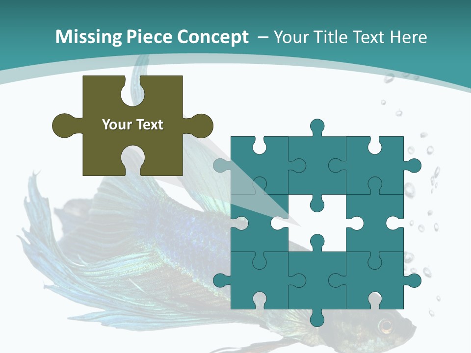 Shot Of A Blue Siamese Fighting Fish Under Water In Front Of A White Background PowerPoint Template