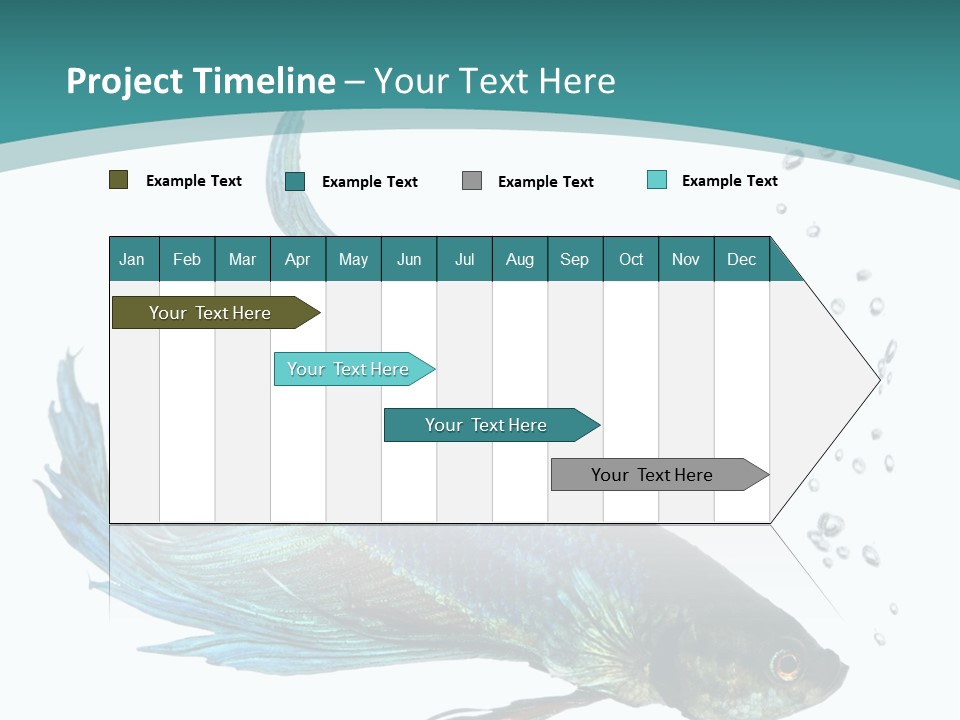 Shot Of A Blue Siamese Fighting Fish Under Water In Front Of A White Background PowerPoint Template