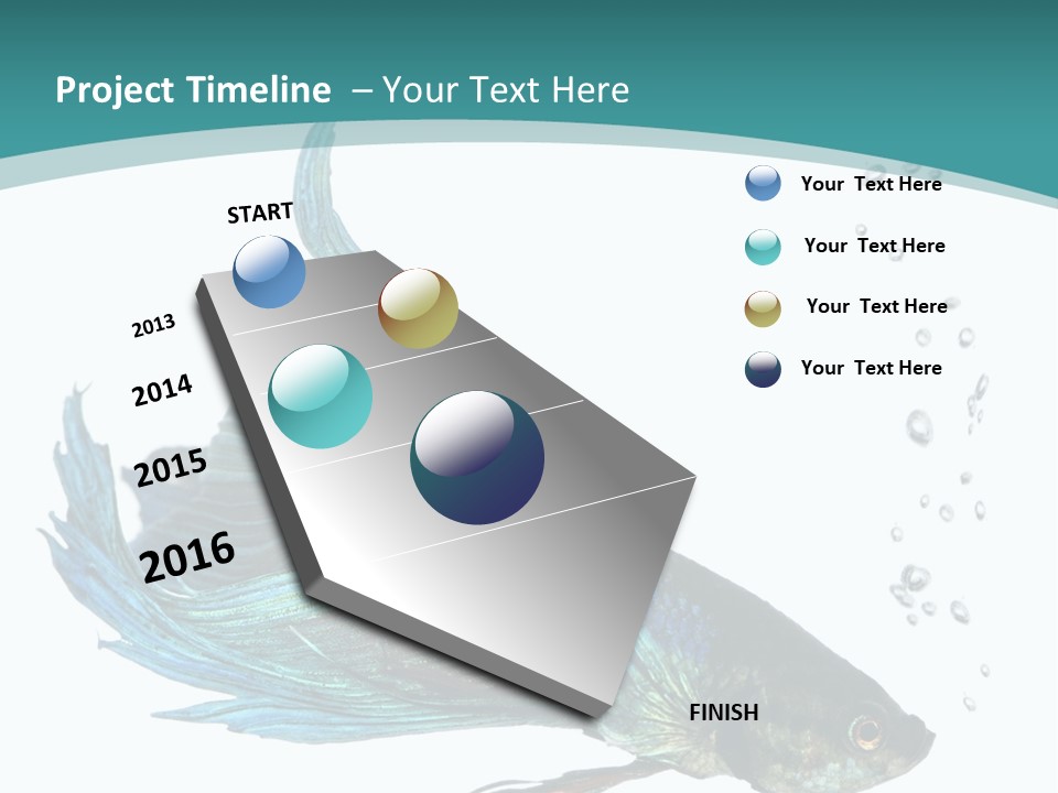 Shot Of A Blue Siamese Fighting Fish Under Water In Front Of A White Background PowerPoint Template