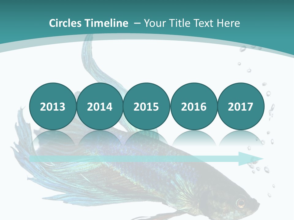 Shot Of A Blue Siamese Fighting Fish Under Water In Front Of A White Background PowerPoint Template