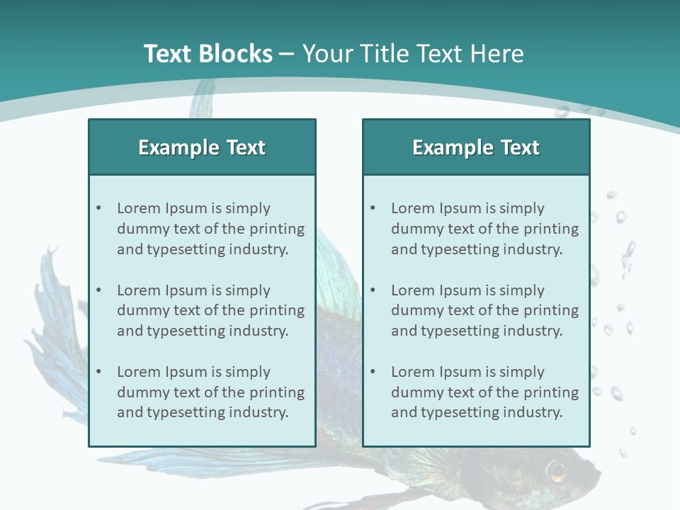 Shot Of A Blue Siamese Fighting Fish Under Water In Front Of A White Background PowerPoint Template