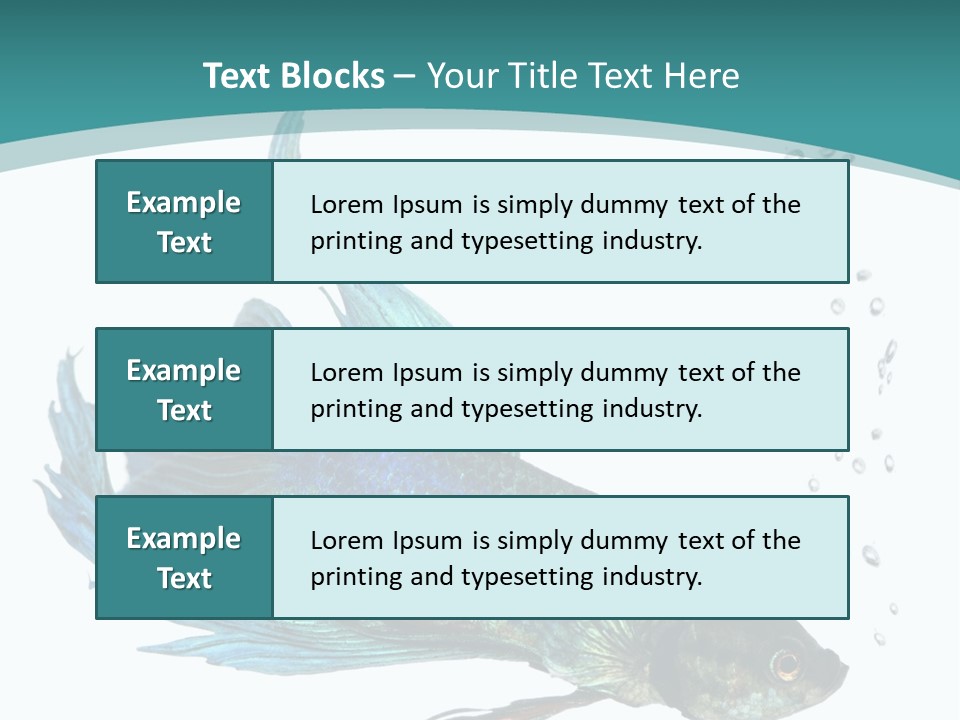 Shot Of A Blue Siamese Fighting Fish Under Water In Front Of A White Background PowerPoint Template